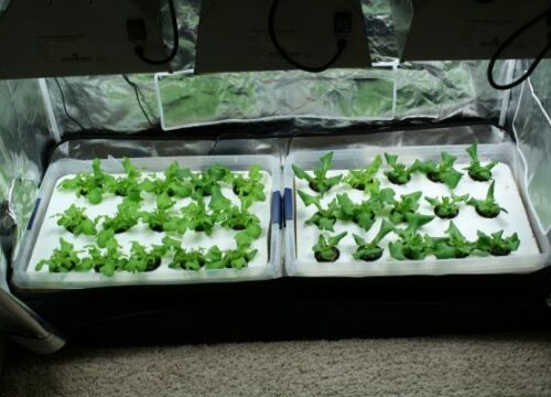 11.3 Growing Season Extension Methods