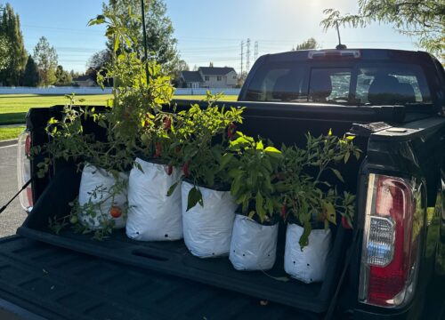 7.3 Protecting Plants During Transit
