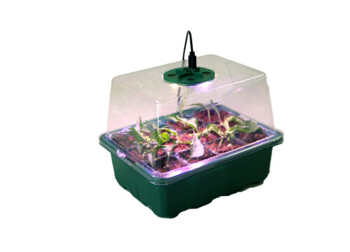 5.2 Seeding Kit and Transplanting