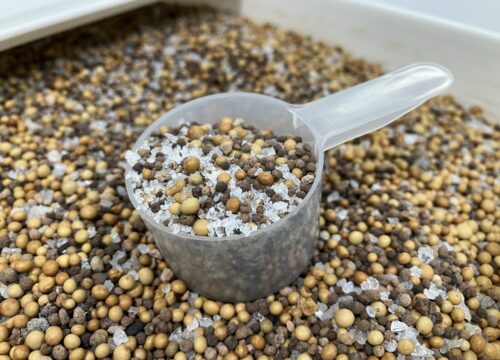 Appendices B. Nutrient Solution Recipes
